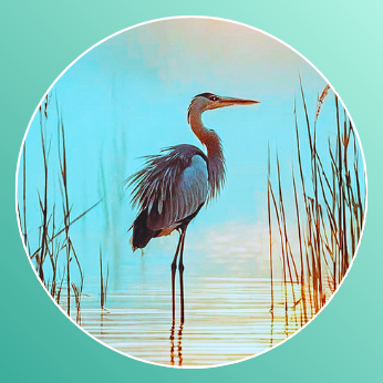 Donovan Coastal Bookkeeping